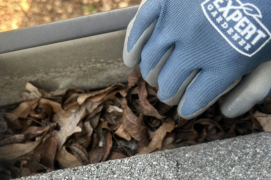 Gutter Cleaning Creve Coeur, MO